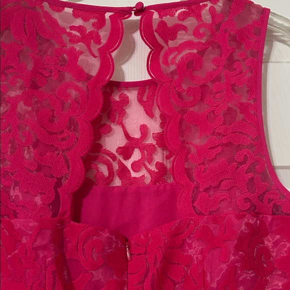 Elegant Pink Lace Dress by Laundry - Picture 5 of 8